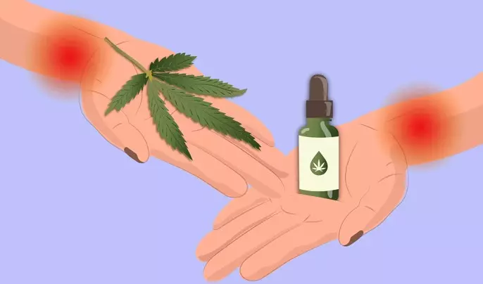 El Potencial Terapéutico Del Cannabis Medicinal En El Tratamiento Del Dolor Crónico Sos Botanik 4678